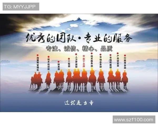 深圳飞盘队意识表现数据分析揭示团队协作与个人能力的深度关系 深圳飞盘队意识表现数据分析揭示团队协作与个人能力的深度关系