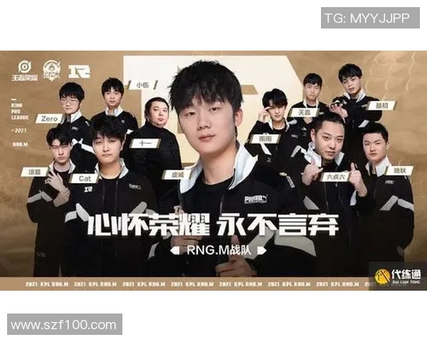 王者荣耀战术解析：全面剖析RNG团队压制策略与执行力